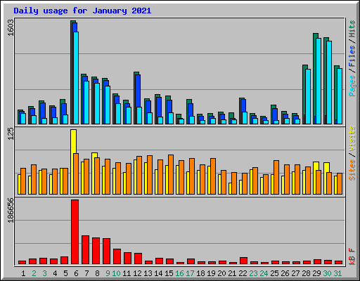 Daily usage for January 2021