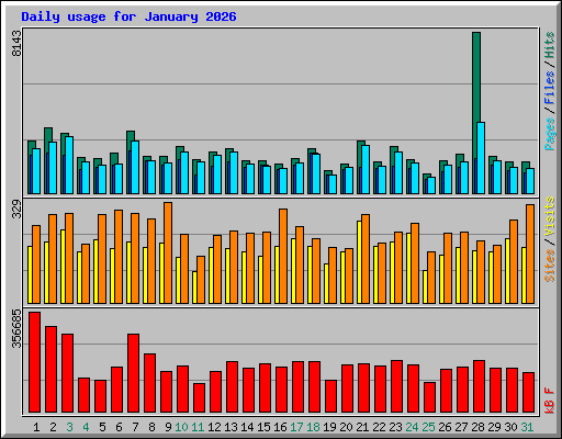 Daily usage for January 2026
