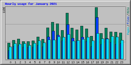 Hourly usage for January 2021