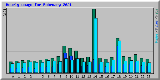 Hourly usage for February 2021