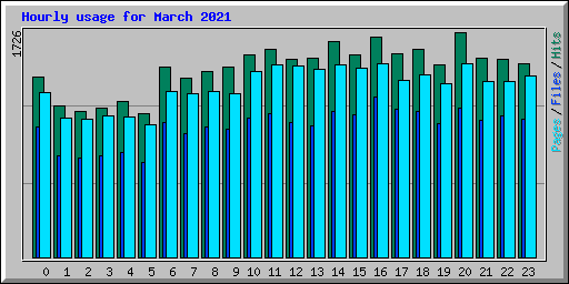 Hourly usage for March 2021