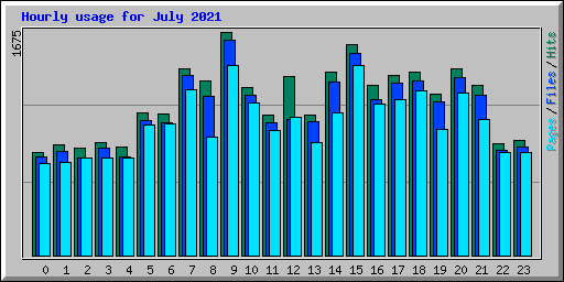 Hourly usage for July 2021