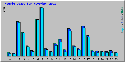 Hourly usage for November 2021