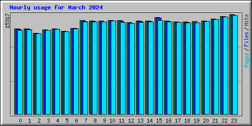 Hourly usage for March 2024