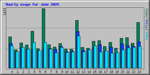 Hourly usage for June 2025