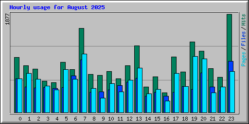 Hourly usage for August 2025