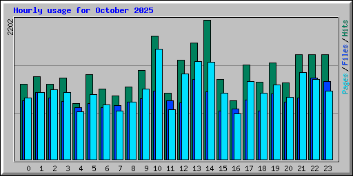 Hourly usage for October 2025