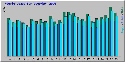 Hourly usage for December 2025