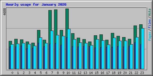 Hourly usage for January 2026