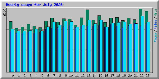 Hourly usage for July 2026