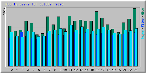 Hourly usage for October 2026